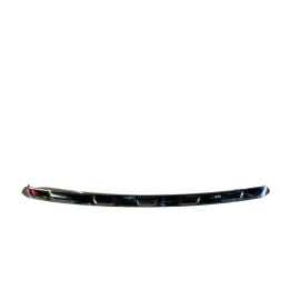 Modanatura Cromata Paraurti Anteriore Lexus 300 NX