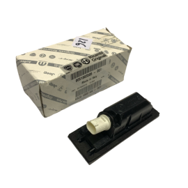 Fanalino targa Fiat 500L (Originale)