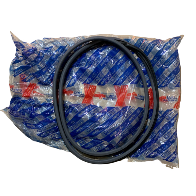 Profilato In Gomma Porta Posteriore Sx Fiat Brava (Nuovo Originale