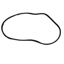 Profilato In Gomma Porta Posteriore Sx Fiat Palio,Siena (Nuovo Originale)