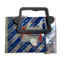 Guarnizione Tenuta Fiat 500 (Nuovo Originale)