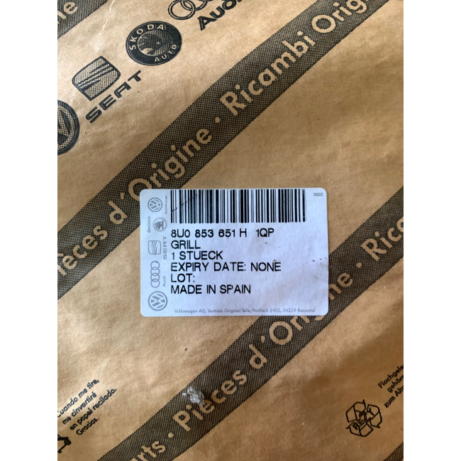 Griglia Paraurti Anteriore Audi Q3 (Usata Originale)