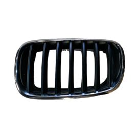 Griglia radiatore lato SX BMW X5 E70/ X6 E71 (Usata)