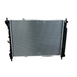 Radiatore Acqua Chervrolet Captiva-Opel Antara (Nuovo Originale)