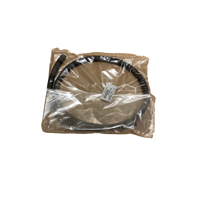 Guarnizione inferiore porta anteriore DX Porsche Taycan (Originale)